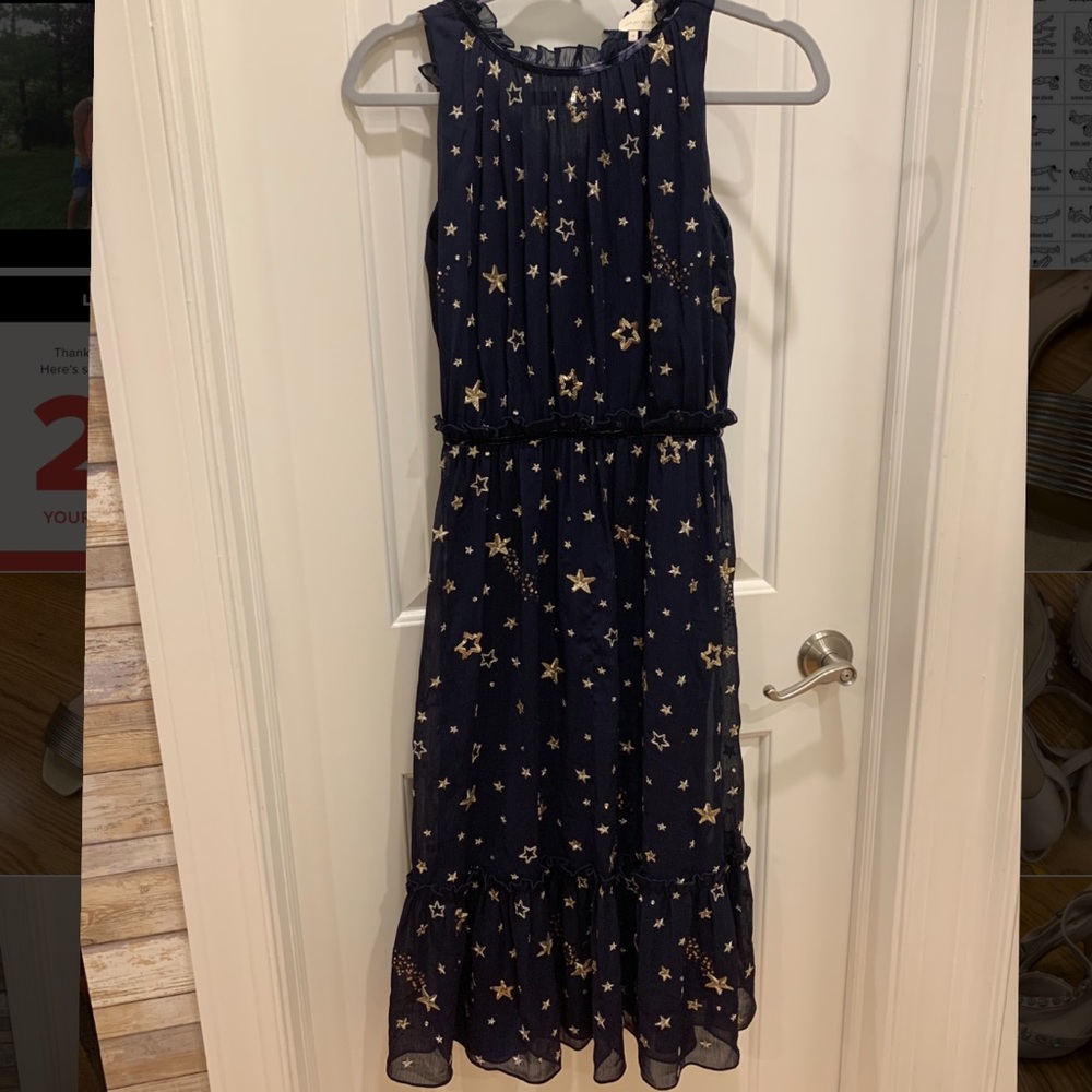 COPY - kate spade -Look for the silver lining dress